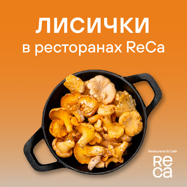 Лисички в ресторанах ReCa!