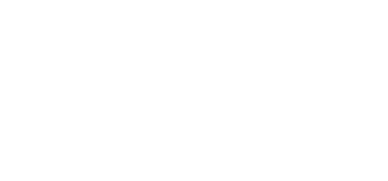 Энтузиасты