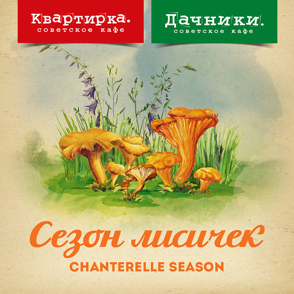 Сезон лисичек в Дачниках